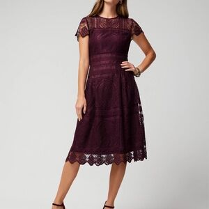 Elegant Lace Midi Dress - Purple
